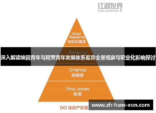 深入解读埃因青年与阿贾青年发展体系差异全景观察与职业化影响探讨